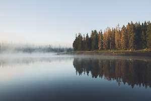 Tree-lined lake with fog, best boating lakes in Colorado concept.