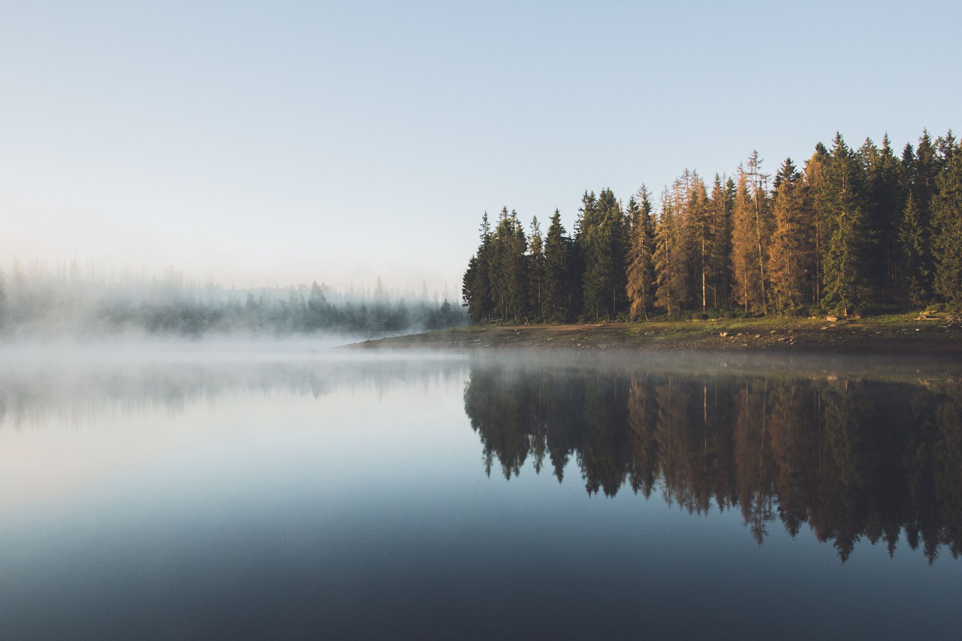 Tree-lined lake with fog, best boating lakes in Colorado concept. 