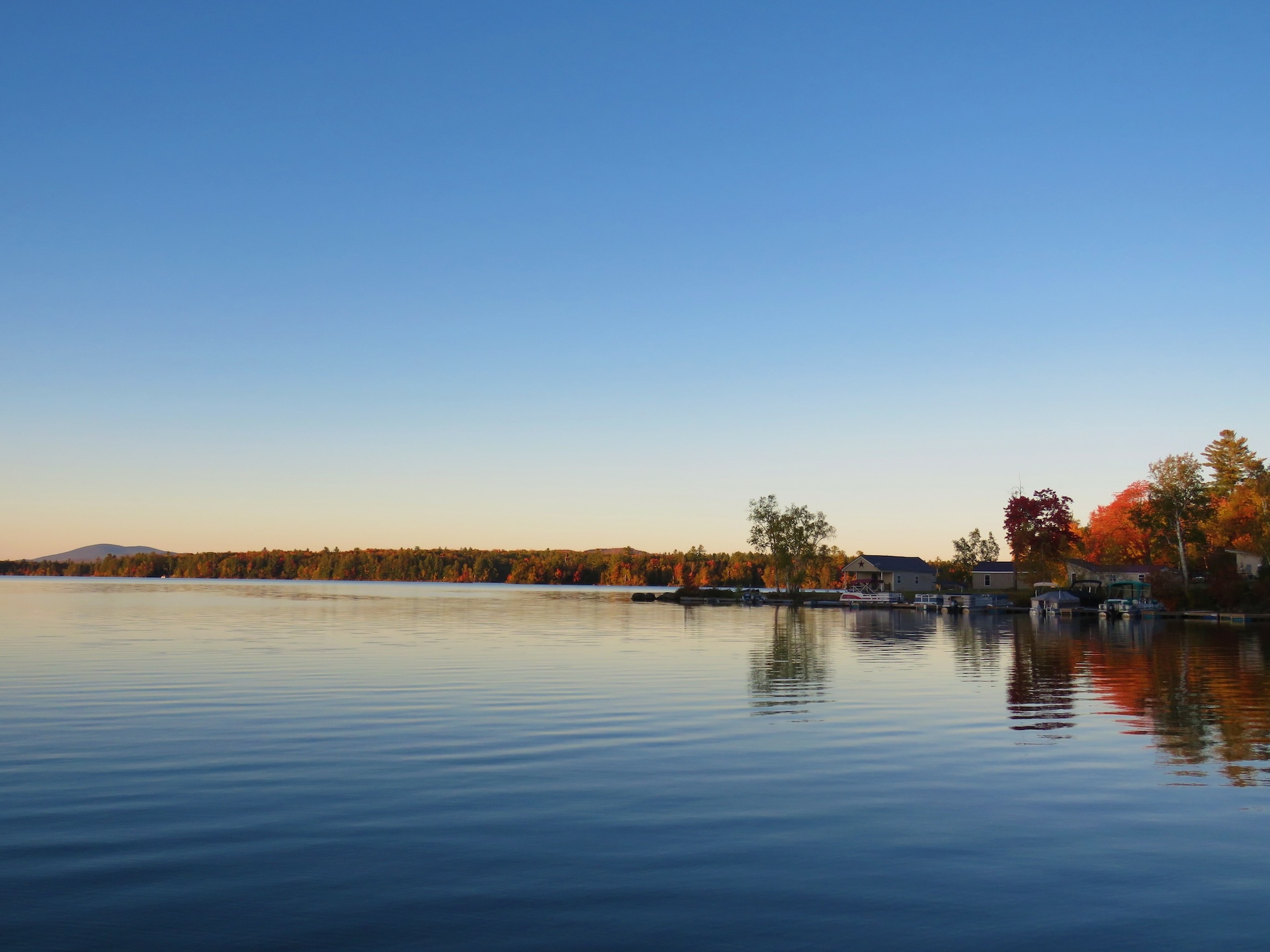 Lakehouses and trees on a lake.