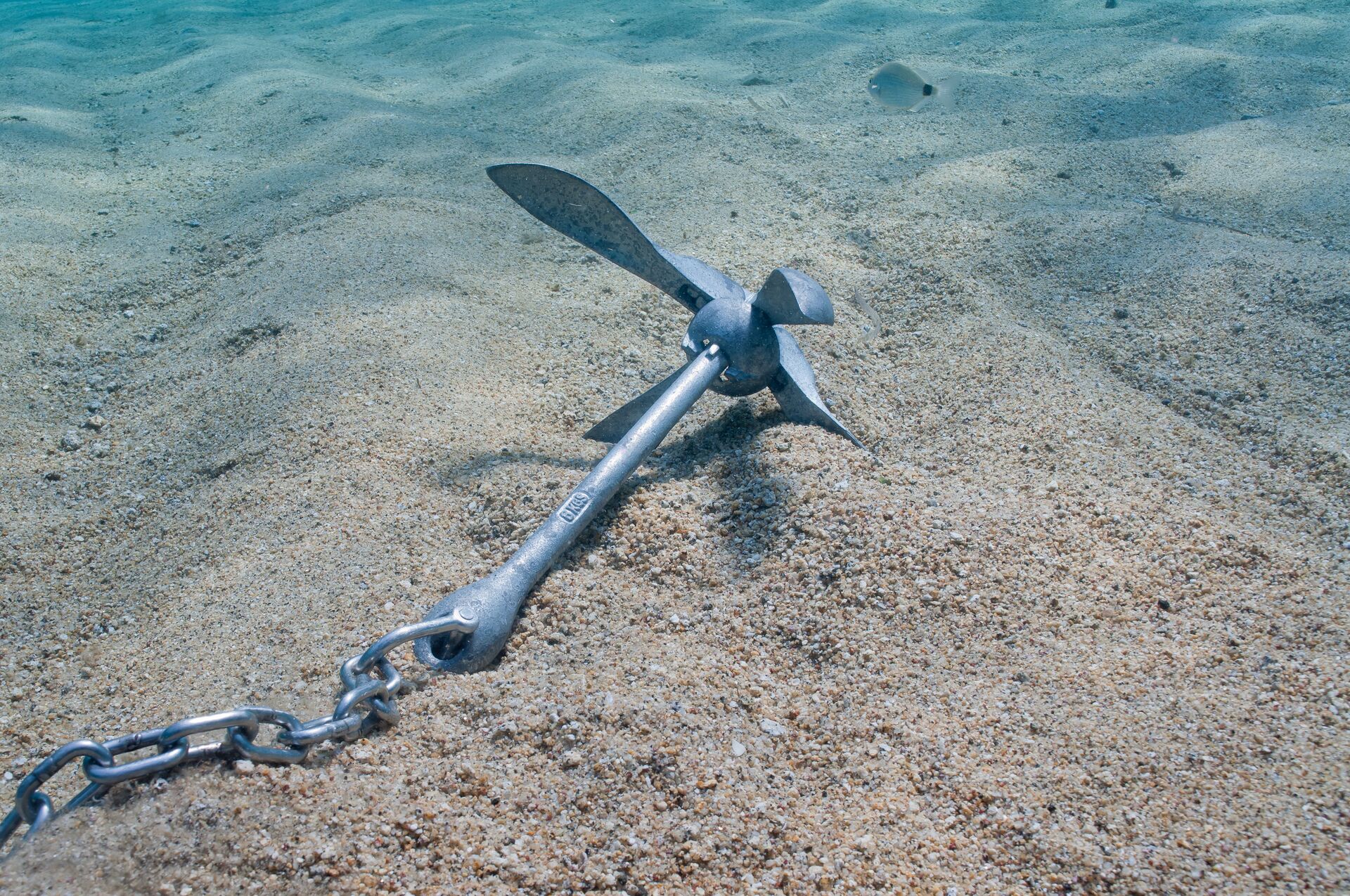 Anchor under water.