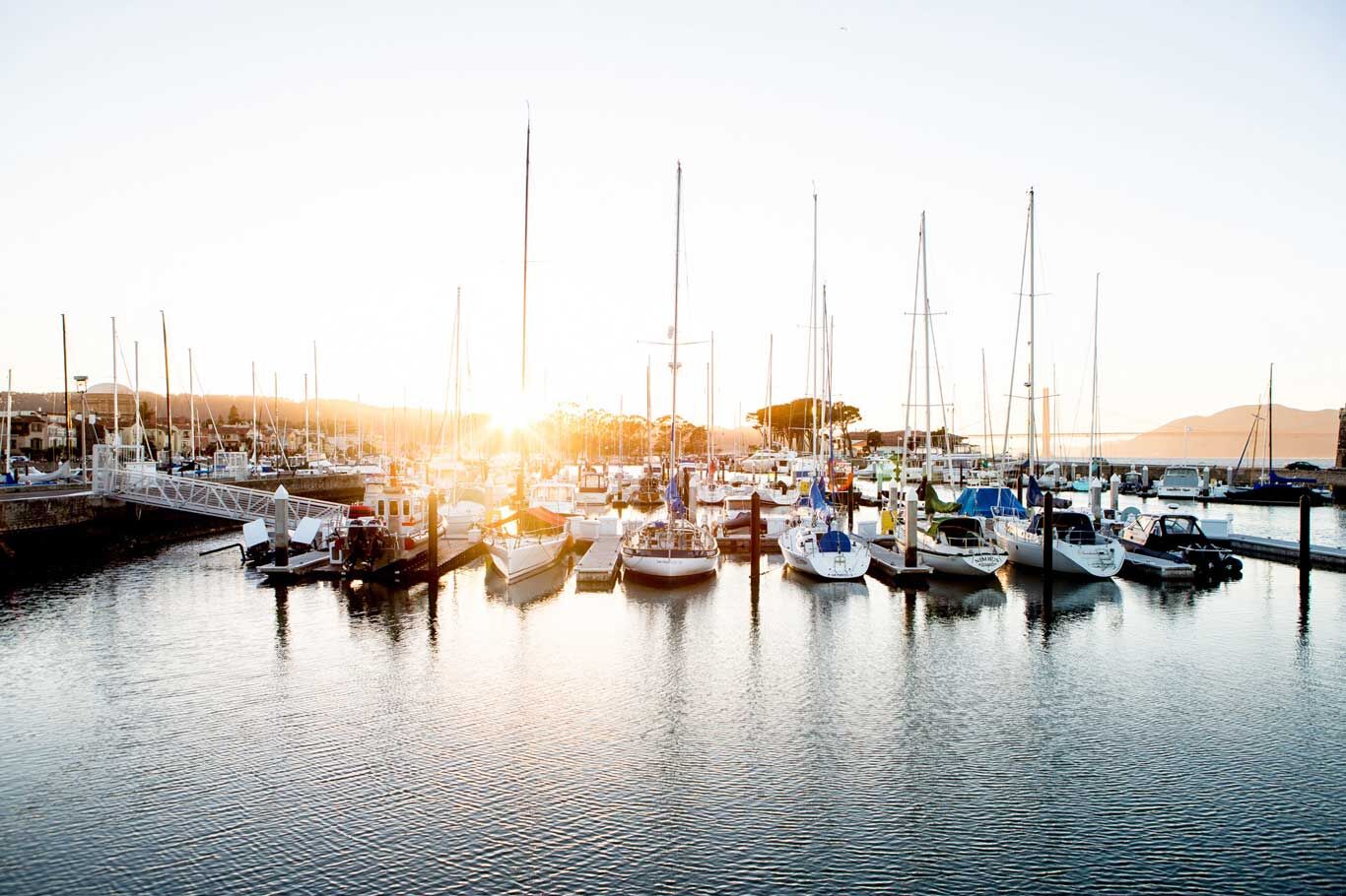 Many sailboats at a dock, know the boating rules and regulations concept. 